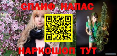 стаф Ставрополь
