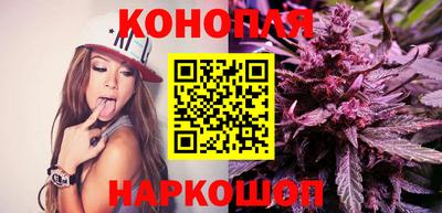 стаф Ставрополь