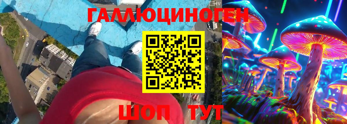 Псилоцибиновые грибы Psilocybe Артёмовский