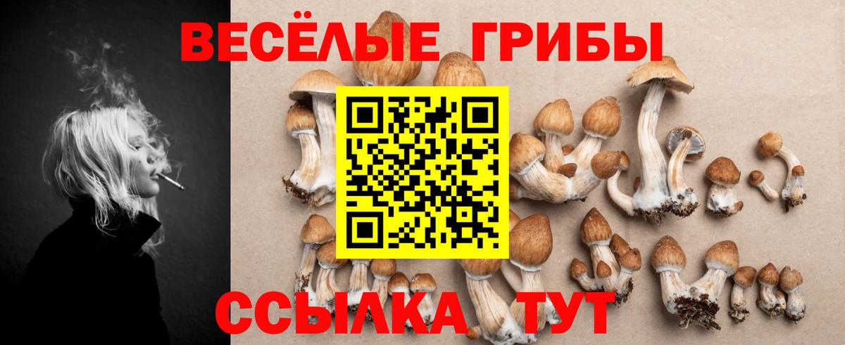 Артёмовский  Галлюциногенные грибы MAGIC MUSHROOMS  Вход с VPN 